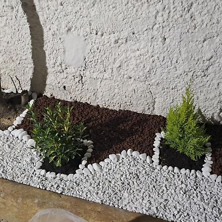 Holiday Space Roma מראה חיצוני תמונה